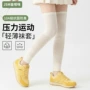 跑步运动长筒薄款袜套