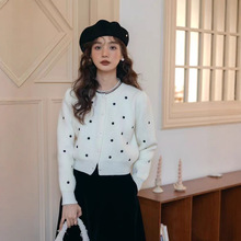 ͹2025＾Ůʿcëᘿ_¿|AIٴ