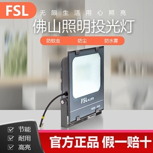 FSL��ɽ����LEDͶ���������ˮ·��չ�d�S�����������̽�շ����