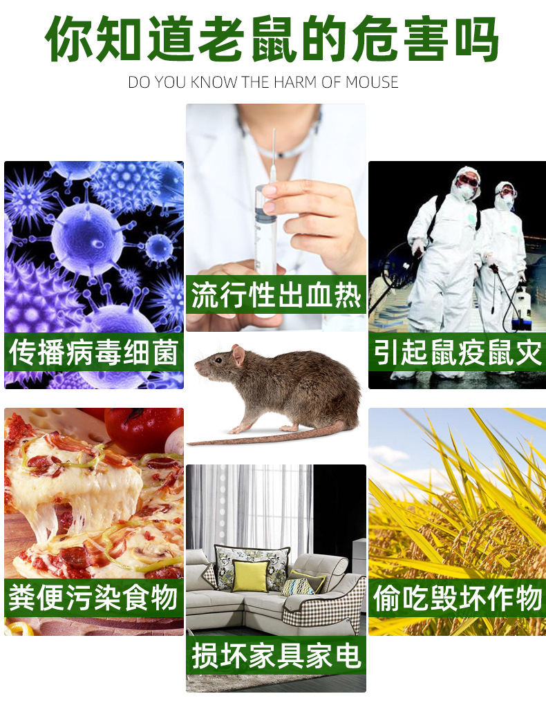 魔毯新详情_02 - 副本 - 副本 - 副本