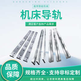 机床导轨镶钢V型U型滚轮直线滑台燕尾拖板滑轨车床导轨重载矩型槽