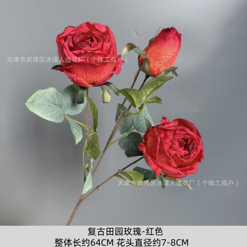 레트로 전원풍 장미