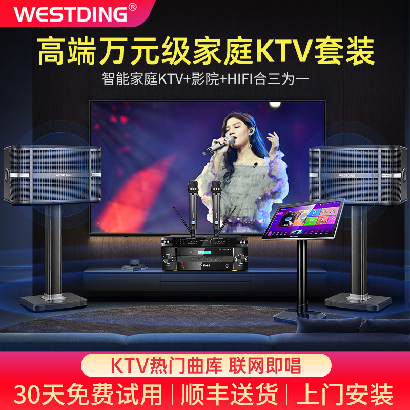 Westin A9 Family Ktv Audio Set Full Set of Karaoke Home Karaoke Machine Karaoke Combination Speaker Equipment