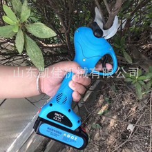 ���ʽ����֦����  3���֘�֦��֦�� 늄��ֳּ��� ���@��֦��