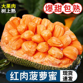 越南红肉菠萝蜜18斤应季新鲜水果一整个树上熟红心波罗蜜整箱直销