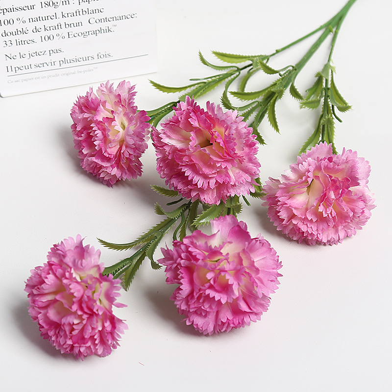 보라색 5개 카네이션