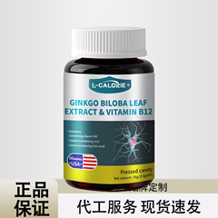 GINKGO-BILOBA-LEA36g 工場直販サポート ドロップシッピング卸売保証 正規品