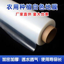 ɫĤNֲĤر׵ĤϱĤ^rYrùĤ