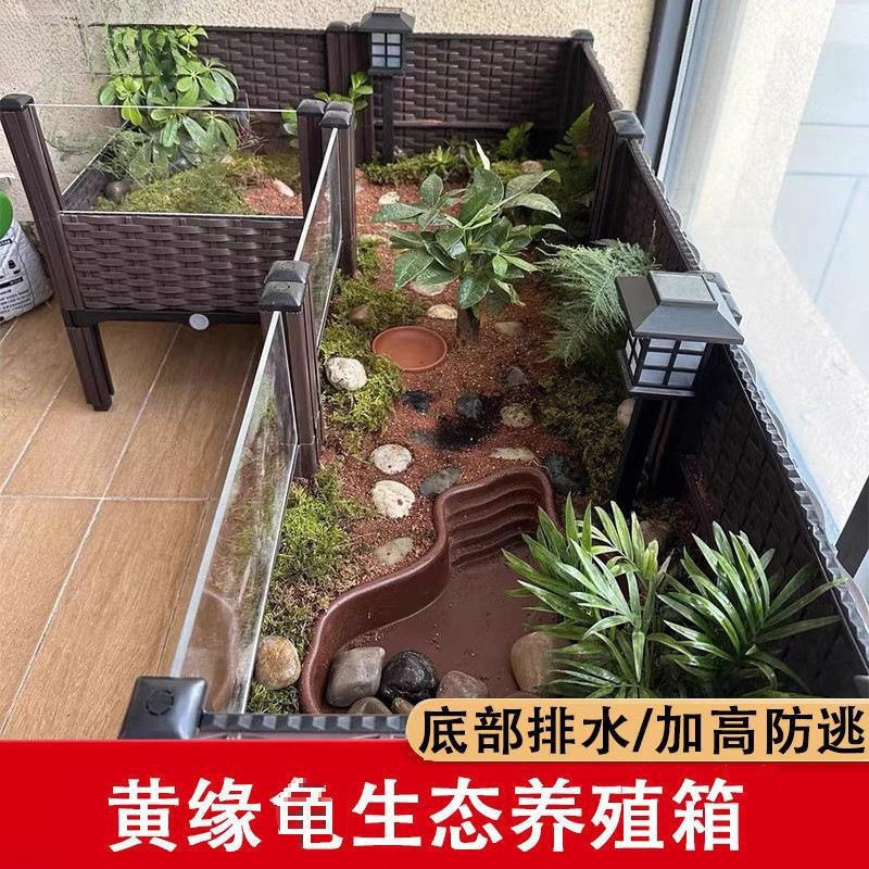 龟饲养箱陆龟半水龟缸生态造景箱 安缘台缘养殖箱标准亚克力|undefined