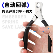 ����ָ�׼�����؈��؈צ���Q���ַ���Ѫ��Ȯ����Ȯ��Ʒ�S�Ұ��]