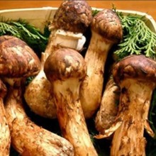 ������� ˮ�����׹��^850g ���ʳ�� ֲ����ʳ��