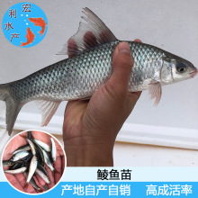 ���̓r���l�����|̩���N�~�� ���N�~�� ���N�~�� �N�~ˮ�� ���N�~