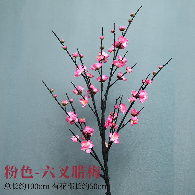 여섯 갈래의 핑크 윈터스윗