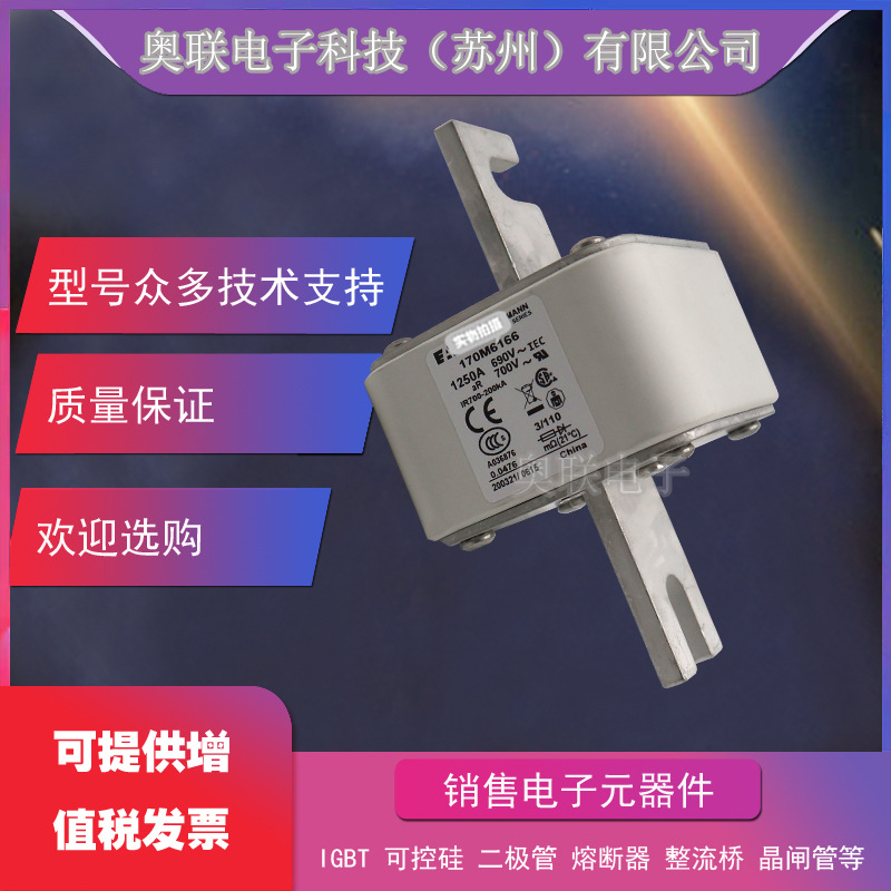 170M6238 /6239/6240/6241/6242/6243/6244巴斯曼熔断器保险电容