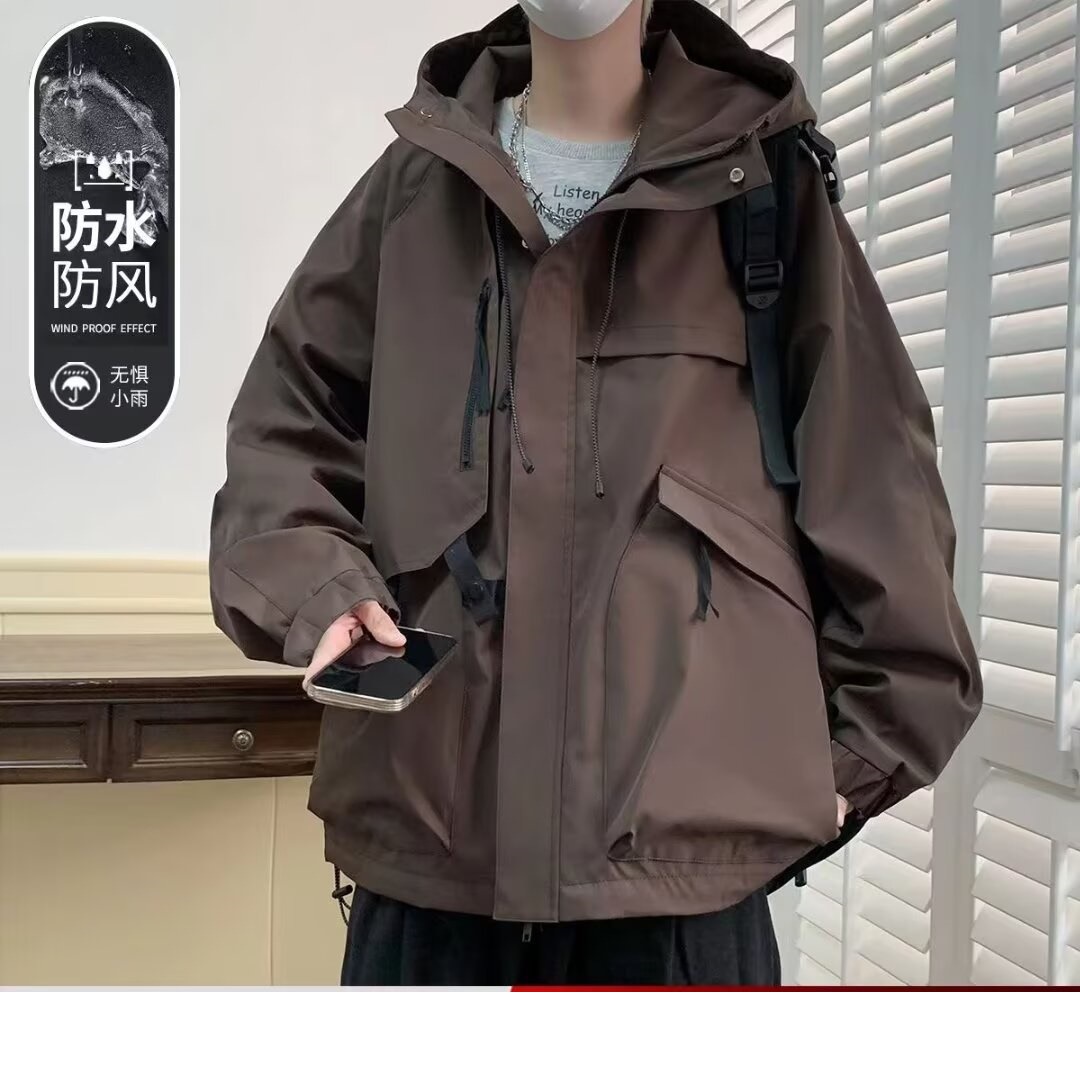 갈색