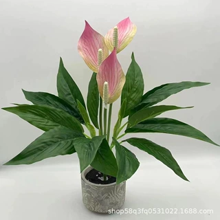 仿真绿植仿真红掌道具3D打印一帆风顺人造花盆栽桌面摆件家居装饰