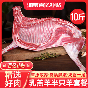 �������r��ֻ��10��������r��������������ϐ�ӻ��ʳ�Ŀ�ȫ��