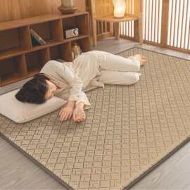 夏季冰藤凉席厚地毯客厅儿童爬行垫卧室榻榻米床垫打地铺凉感睡垫