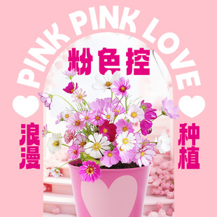 ���lС���r�������@ϲ�����һ�����_��ͯ�W���NֲС��������[��