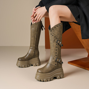 12cm Inner Height Thick-soled Wedge Heel Short Boots Women's Super High Heel Martin Boots Autumn and Winter High Boots