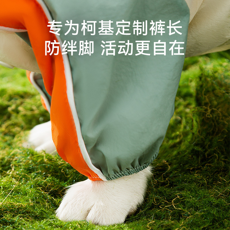 Perro fuera impermeable pequeño pensador Corgi impermeable perro pequeño y mediano todo incluido impermeable de cuatro patas para perro
