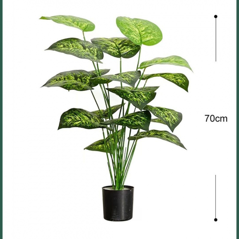 モンステラ 大型鉢植え 水耕栽培 大葉植物 古い杭 リビングルーム 大型緑の植物 花 オフィス オープンバックで富を引き寄せる|undefined