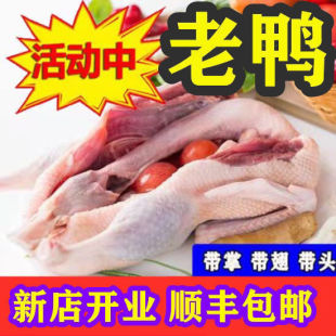 ��5��������ɢ�B����������ˮ�������������r������ֻ�����r����