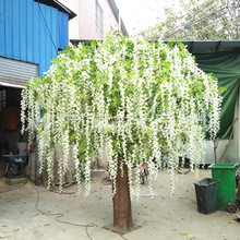 �������٘������}�侰�^�쾰�S��@ͥԺ�b��Ͳ���䓼٘乤�S