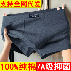 100%纯棉男士内裤男款裆黑色平角男生2025新款四角短裤头舒适平角