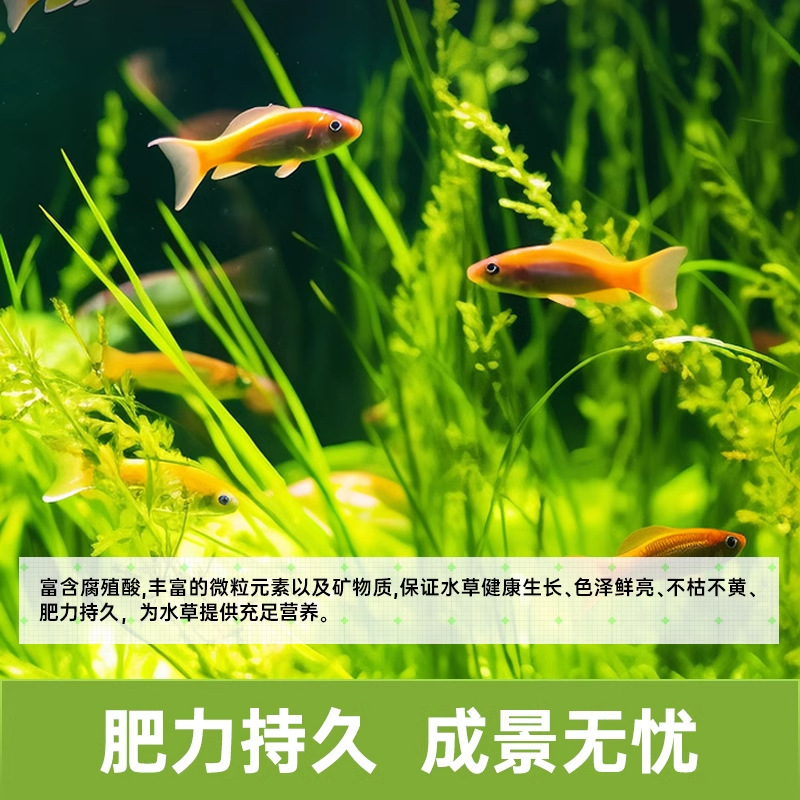 水槽底砂造景コース水草かめ水草泥無洗水草泥陶粒底砂水草泥不渾水|undefined