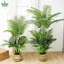 ���Wins���˽�����ֲ���b���ػ���@�[�����ԾGֲ�Gɫ�����ٻ�