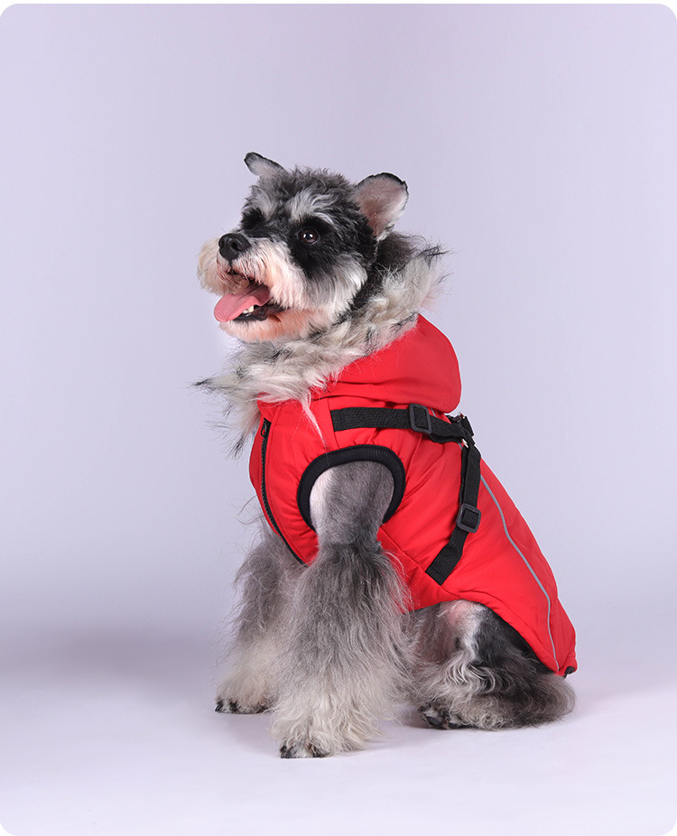 Casaco de inverno para cães acolchoado impermeável com capuz_voghion.com
