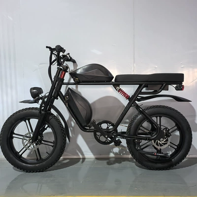 Lithium Battery Adult: Jianlang Auto Parts and Accessories