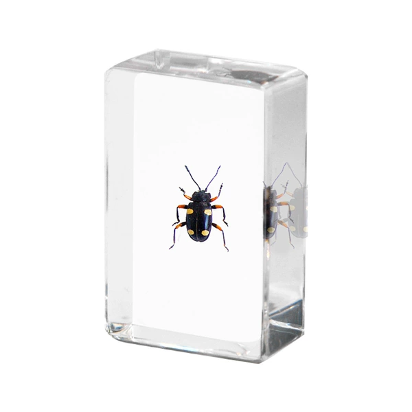 4.5CM Small Large False Ladybug