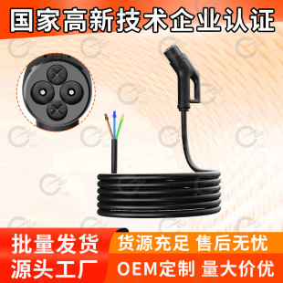 Japanese Standard Dc Dc Gun Line New Energy Vehicle Charging Pile Accessories Chademo Dc Gun Line Cross-Border Exclusive