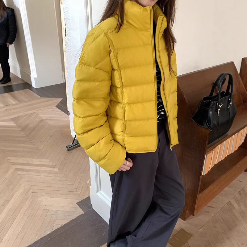 [Off-Season Special Offer, No Returns or Exchanges] Weisong Women's Stand-Collar Ribbed down Jacket, New Winter 2025 Model