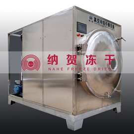 上海纳贺食品真空冷冻干燥机冻干机微波冻干机