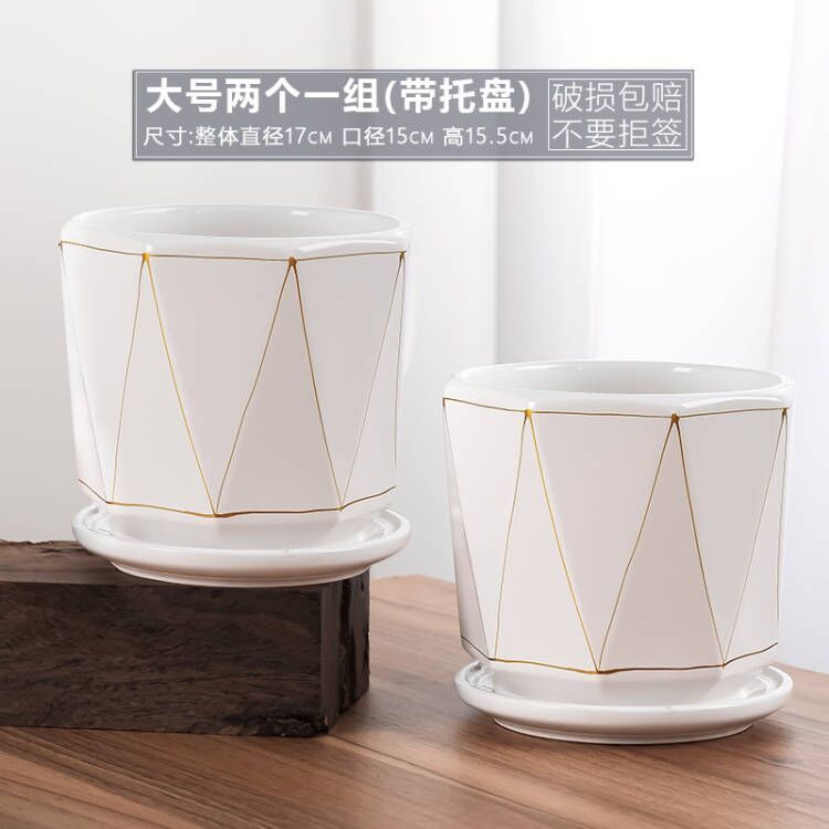 TX 흰색 V자형 금선(대형 2개)