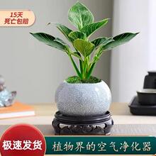 �K������ԾG�}�j��ʽ�Gֲ���k���҃ȶ����ļ����B�׻��