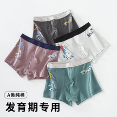 Youth Underwear for Boys, Pure Cotton Developmental Underpants for Students, Middle School and High School Boys, Four-Corner Flat-Angle Pajamas for Boys