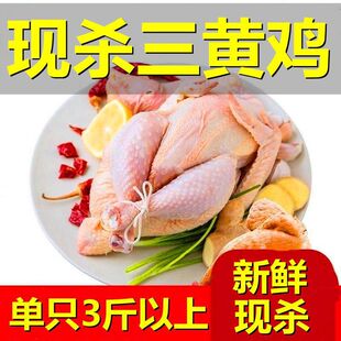 ���u���S�uͯ���u�ߵ�Ȧ�B���u���r�۰��д�P�u�F��������l