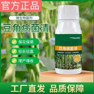 Special Microbial Agent for Bean Diseases, Bean Rust and Leaf Spot Disease, Rapid Recovery and Wholesale