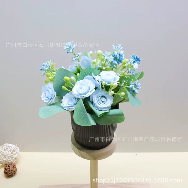 [Champagne Rose Blue + Brown Striped Pot]