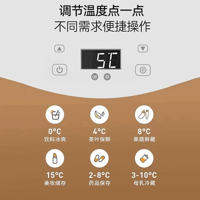 Soyuducular Person Small Dormitory Home Refrigerated