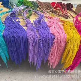 吊米柔丽丝情人泪永生花婚庆花艺垂吊软装摄影道具云南源头工厂