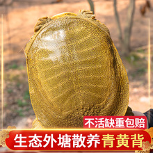 1-6������B�������~���w���S�����A���ˈF�~�r��ʳ��ˮ�~�����M