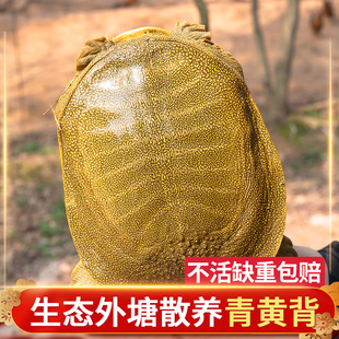 1-6������B�������~���w���S�����A���ˈF�~�r��ʳ��ˮ�~�����M