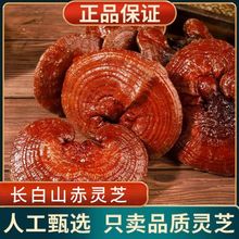 `֥Ƭ500LɽƷ֥Ұ`֥Ƭݾˮ`֥`֥Ƭ