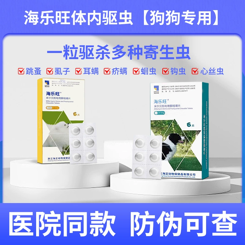 Haile Wanghai Leo Beat Haizheng Dog Dogs Дельминтная собака