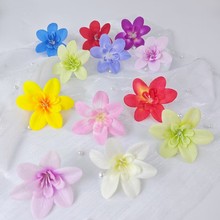 �����m���^ �����ػ����ﻨ�h������[�P�������m�����Y���仨